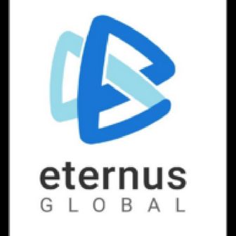 Eternus Global Company Ltd Web Development, Software Development, Online Marketing